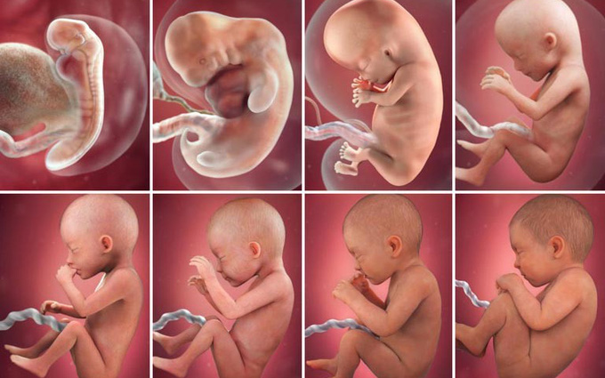 Chuẩn bị mang thai cần lưu ý gì để phôi thai khoẻ mạnh