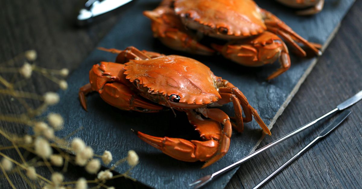 Phụ nữ sau sinh ăn cua được không? Lưu ý khi ăn cua sau sinh